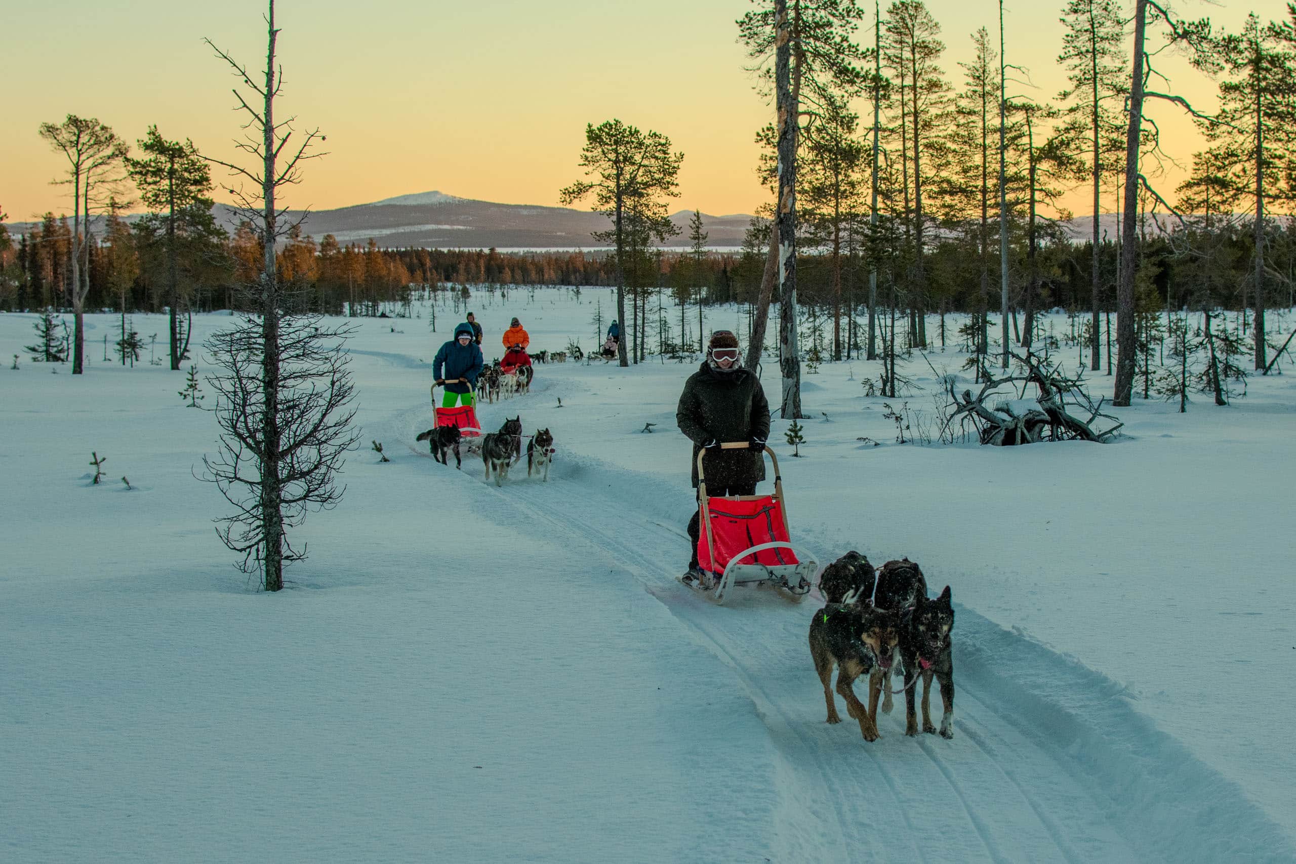 Schneeschuhlaufe mit Schlittenhunden in der Winterlandschaft