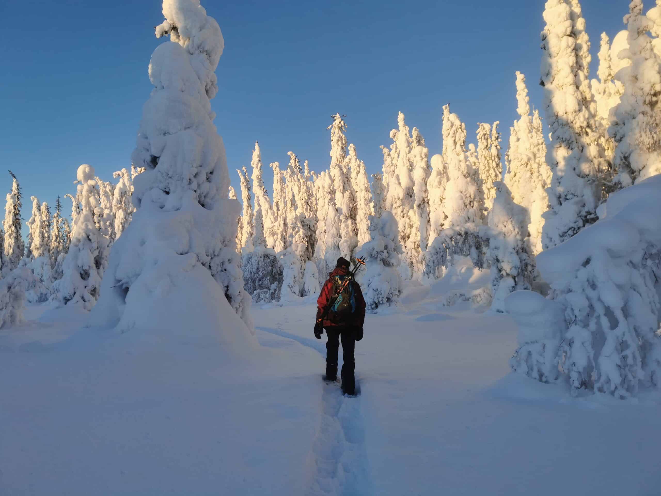 Vandrare i snöklädd skog vid soluppgång