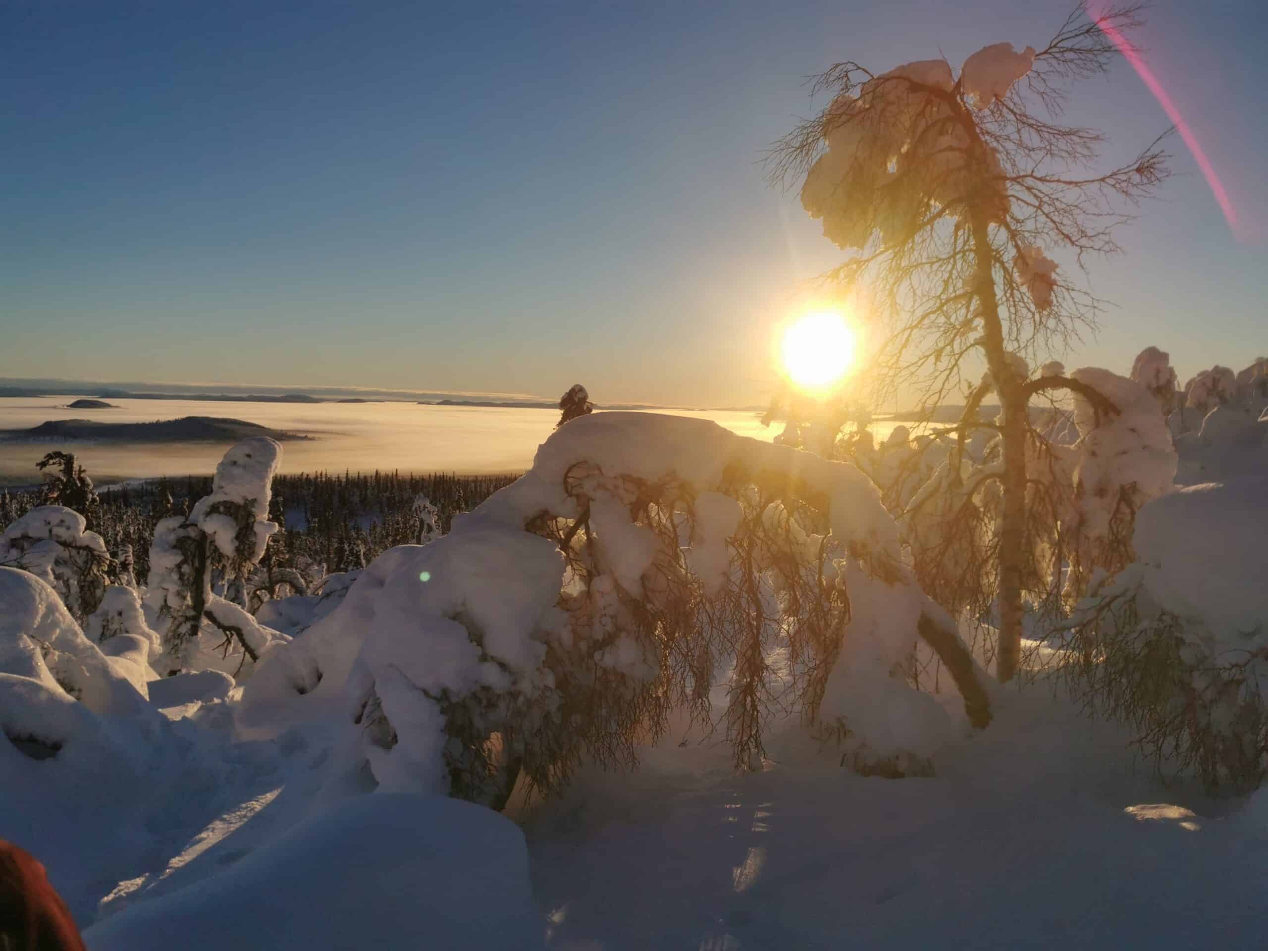 Sonnenaufgang über schneebedecktem Landschaftsbild