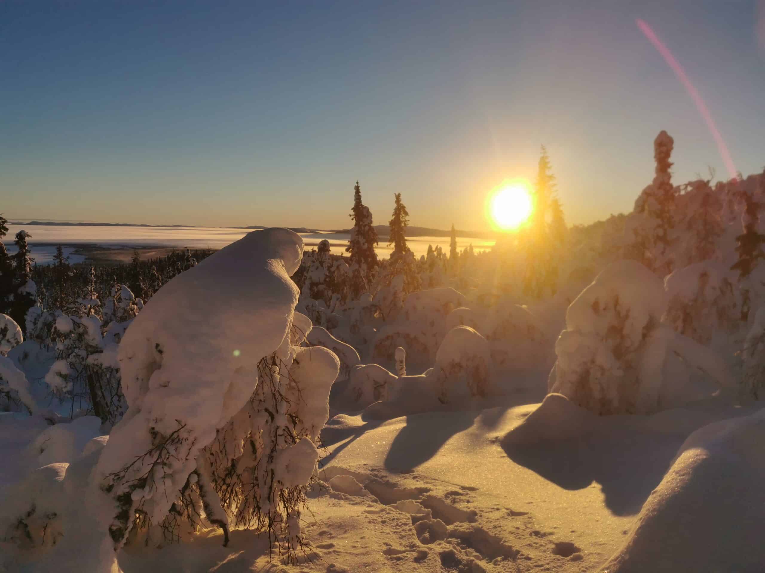 Sonnenaufgang über verschneiten Bäumen in der Natur
