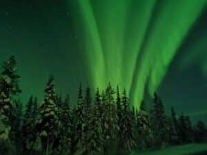 Nordlichter über einem verschneiten Wald