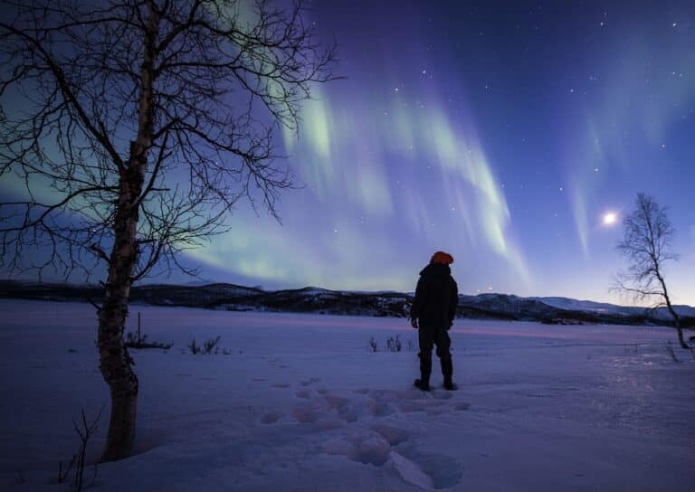 Nordlichter über schneebedeckter Landschaft bei Nacht
