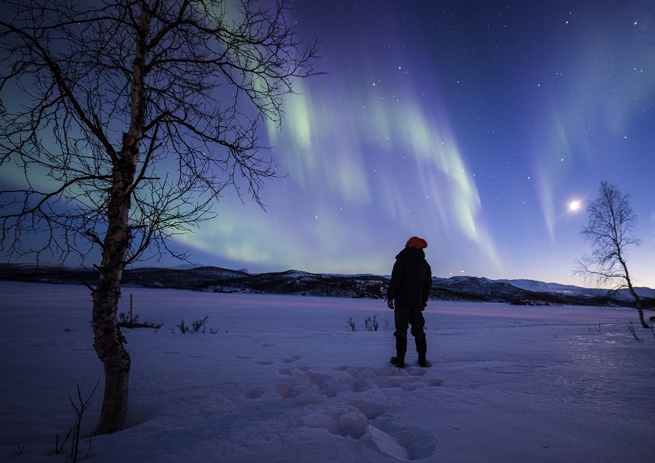 Nordlicht über verschneiter Landschaft