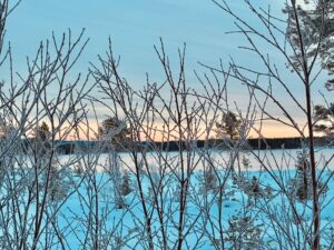 Eisige Äste vor schneebedeckter Landschaft bei Sonnenaufgang.