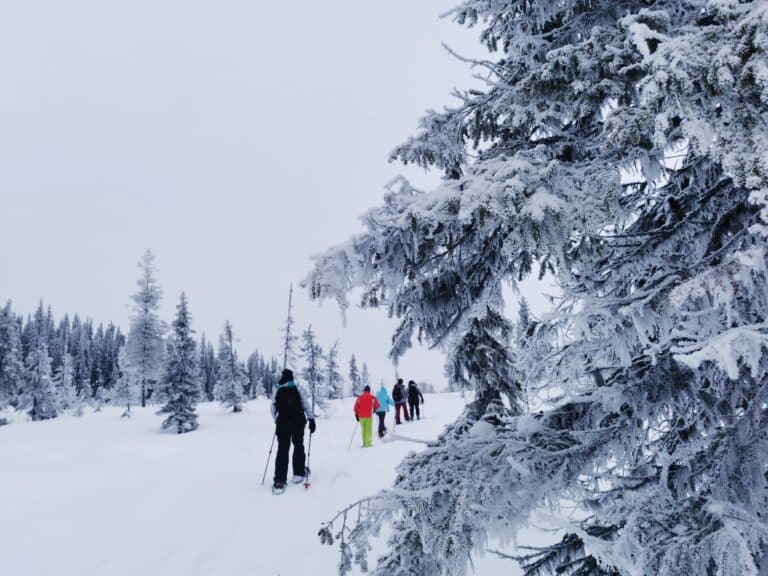 Menschen beim Skilanglauf durch verschneite Landschaft