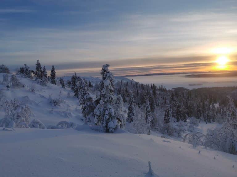 Winterlandschaft mit Schnee und Sonnenuntergang