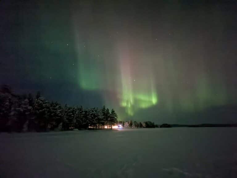 Nordlichter über verschneiten Baumzeilen.