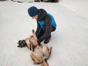 Mann spielt mit Hund im Schnee.