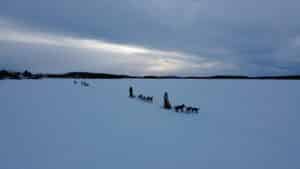 Schlittenhundtour über verschneite Landschaft