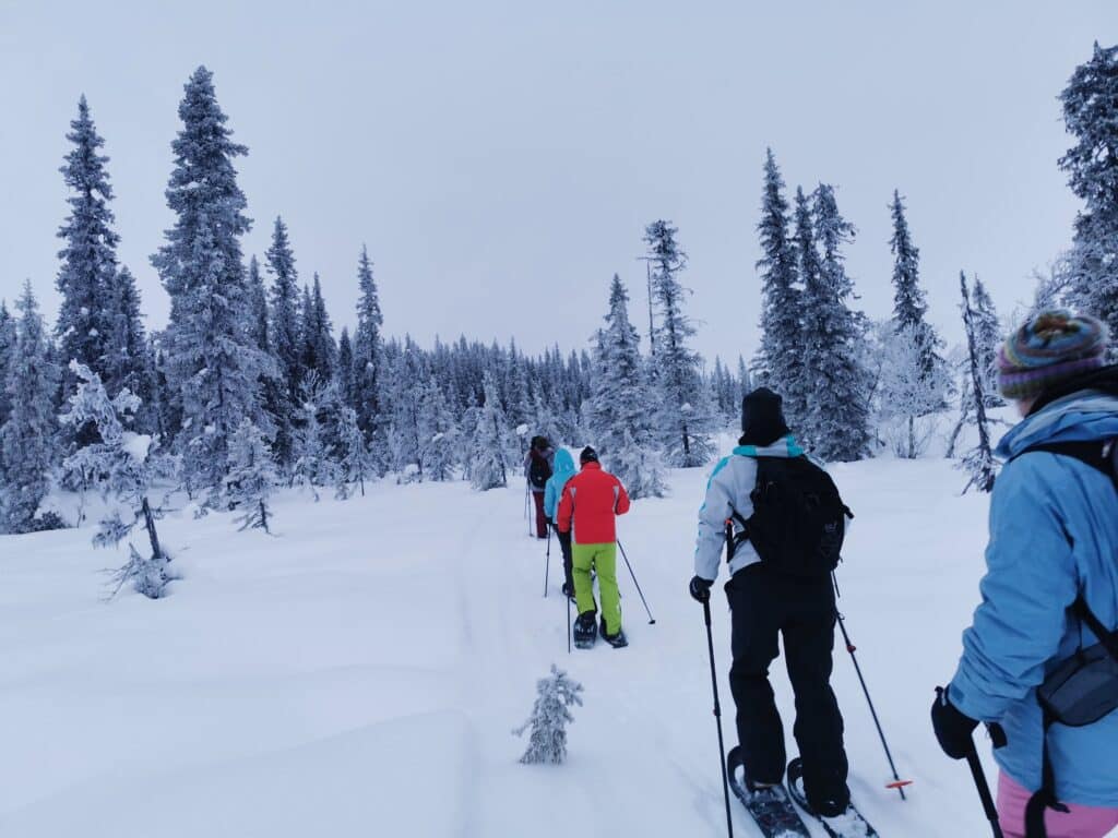Gruppe beim Schneeschuhwandern durch verschneite Landschaft.