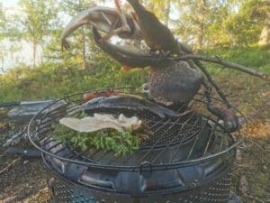 Gegrillte Fische und Würstchen in der Natur